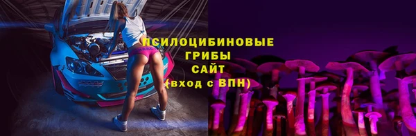 apvp Аркадак