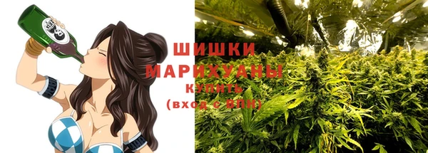 apvp Аркадак