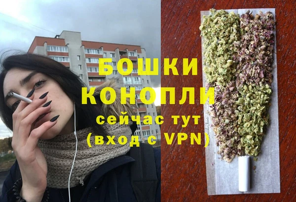apvp Аркадак